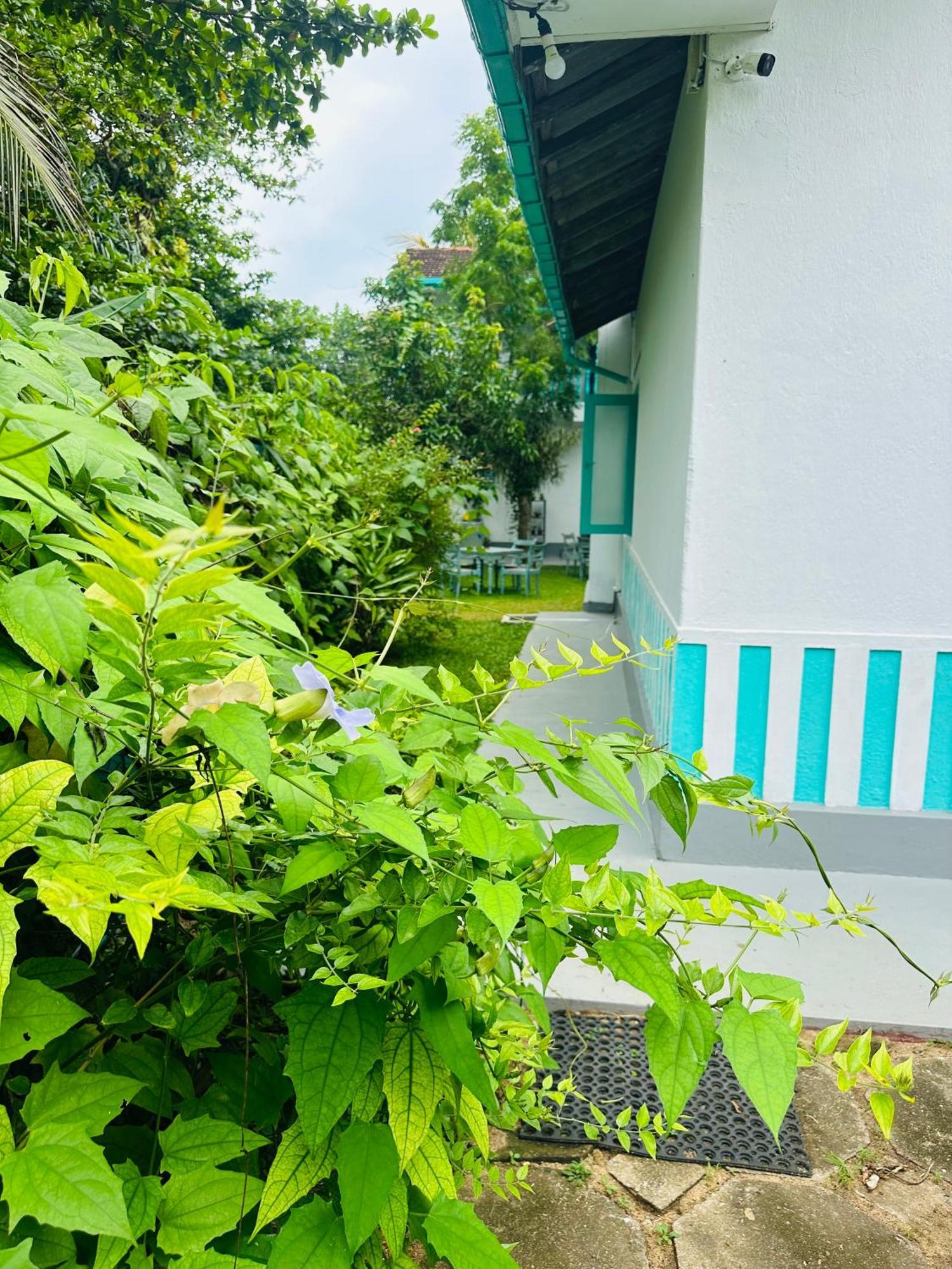 Villa 47 히카두와 외부 사진